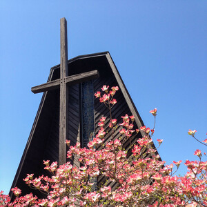 Strong People of Grace Lutheran